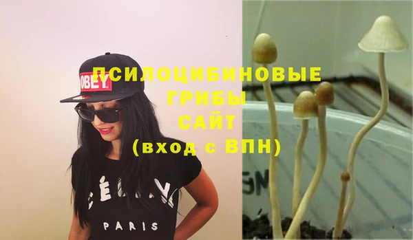 кристаллы Арсеньев